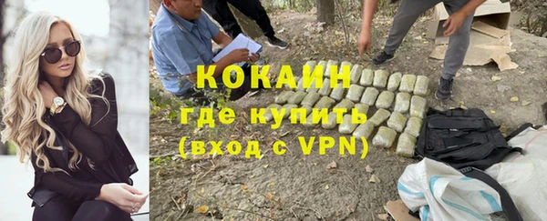спиды Елизово