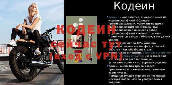 герыч Ельня