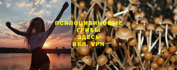каннабис Нестеровская