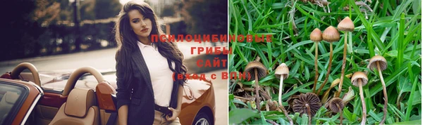 спиды Елизово